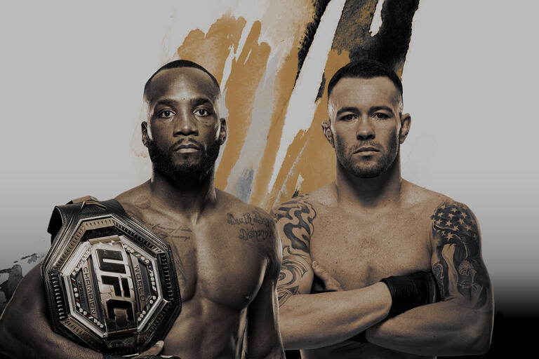 UFC 296